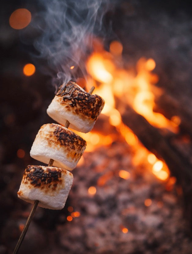 Campfire Marshmallow