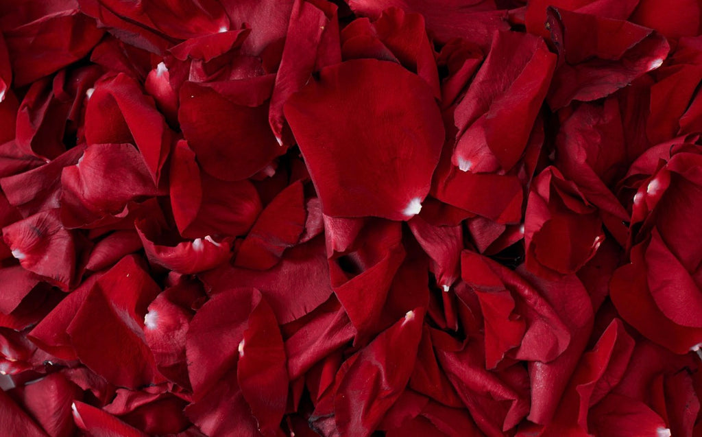 Velvet Petals