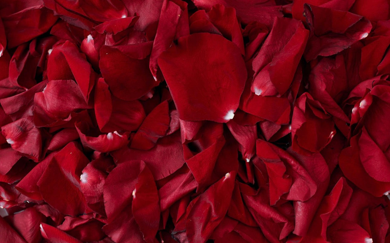 Velvet Petals