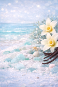 Sea Glass Vanilla